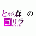 とある森のゴリラ（ＧＯ☆ＲＩ）