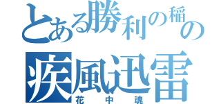 とある勝利の稲妻の疾風迅雷（花中魂）