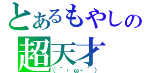 とあるもやしの超天才（（´・ω・｀））