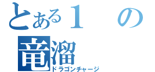 とある１の竜溜（ドラゴンチャージ）