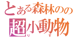 とある森林のの超小動物（りす）