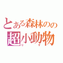 とある森林のの超小動物（りす）