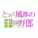 とある風都の半熟野郎（ハーフボイルド）