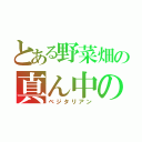 とある野菜畑の真ん中の（ベジタリアン）