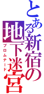 とある新宿の地下迷宮（プロムナード）