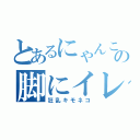 とあるにゃんこの脚にイレズミ（狂乱キモネコ）