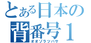 とある日本の背番号１０（オオゾラツバサ）