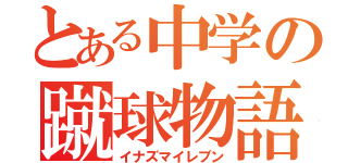 とある中学の蹴球物語（イナズマイレブン）