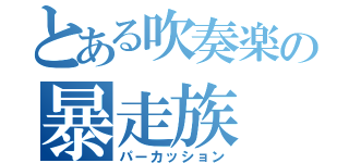 とある吹奏楽の暴走族（パーカッション）