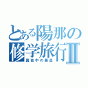 とある陽那の修学旅行Ⅱ（真夜中の暴走）