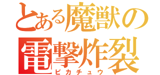 とある魔獣の電撃炸裂（ピカチュウ）