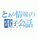 とある情報の電子会話（スカイプ）