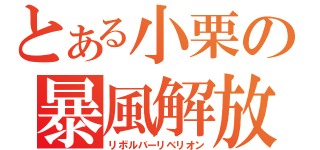 とある小栗の暴風解放（リボルバーリベリオン）