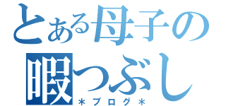 とある母子の暇つぶし（＊ブログ＊）