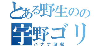 とある野生のの宇野ゴリラ（バナナ没収）