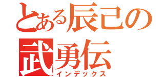 とある辰己の武勇伝（インデックス）