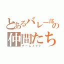 とあるバレー部の仲間たち（チームメイト）