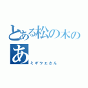 とある松の木のあ（ミギウエさん）