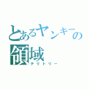 とあるヤンキーの領域（テリトリー）