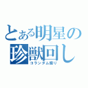 とある明星の珍獣回し（コランダム掘り）