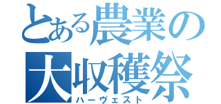 とある農業の大収穫祭（ハーヴェスト）