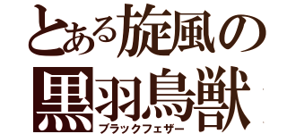 とある旋風の黒羽鳥獣（ブラックフェザー）