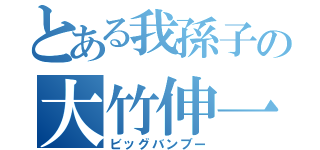 とある我孫子の大竹伸一（ビッグバンブー）