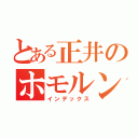 とある正井のホモルンティウス（インデックス）