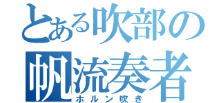 とある吹部の帆流奏者（ホルン吹き）