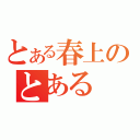 とある春上のとある（）