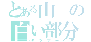 とある山の白い部分（ヤッホー）