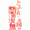 とある真・帝国の両側髪無（ふどうあきお）