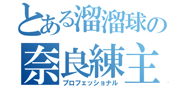 とある溜溜球の奈良練主催（プロフェッショナル）