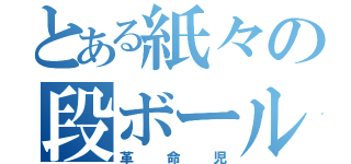 とある紙々の段ボール（革命児）