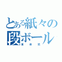 とある紙々の段ボール（革命児）