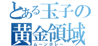 とある玉子の黄金領域（ムーンボレー）