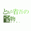 とある省吾の宝物（エアガン）