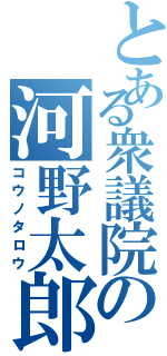 とある衆議院の河野太郎（コウノタロウ）