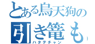 とある烏天狗の引き篭もり（ハタテチャン）