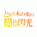 とある木の葉の黄色閃光（波風ミナト）