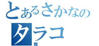 とあるさかなのタラコ（鱈）