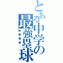 とある中学の最強塁球部（臥薪嘗胆、）