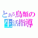 とある鳥類の生活指導（）