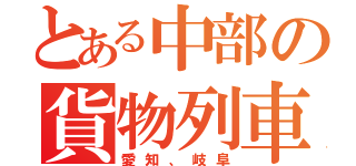 とある中部の貨物列車（愛知、岐阜）