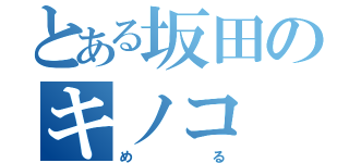 とある坂田のキノコ（める）