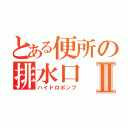 とある便所の排水口Ⅱ（ハイドロポンプ）