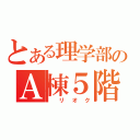 とある理学部のＡ棟５階（　リオク）