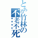 とある竹林の不老不死（藤原妹紅）