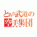 とある武道の空手集団（威風堂々）