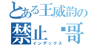 とある王威韵の禁止帅哥（インデックス）